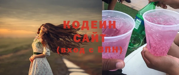 дмт Павловск