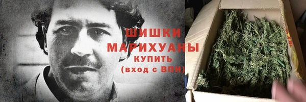 PSILOCYBIN Сосновоборск