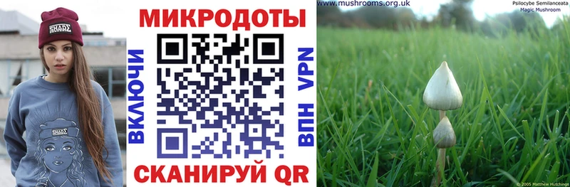 Псилоцибиновые грибы мухоморы  Тогучин 